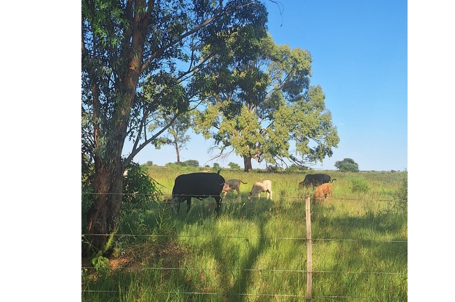 0 Bedroom Property for Sale in Klerksdorp Rural North West